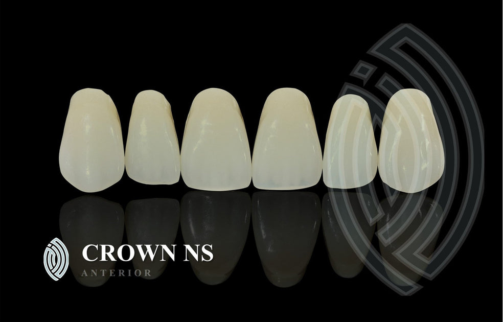 歯科用　SANKIN ANATOM PRIMARY CROWNS 上下乳歯冠 crown-ns-anterior-teeth-shade-