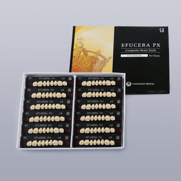 EFUCERA PX POSTERIOR TEETH SHADE C2 Yamahachi Dental Products USA