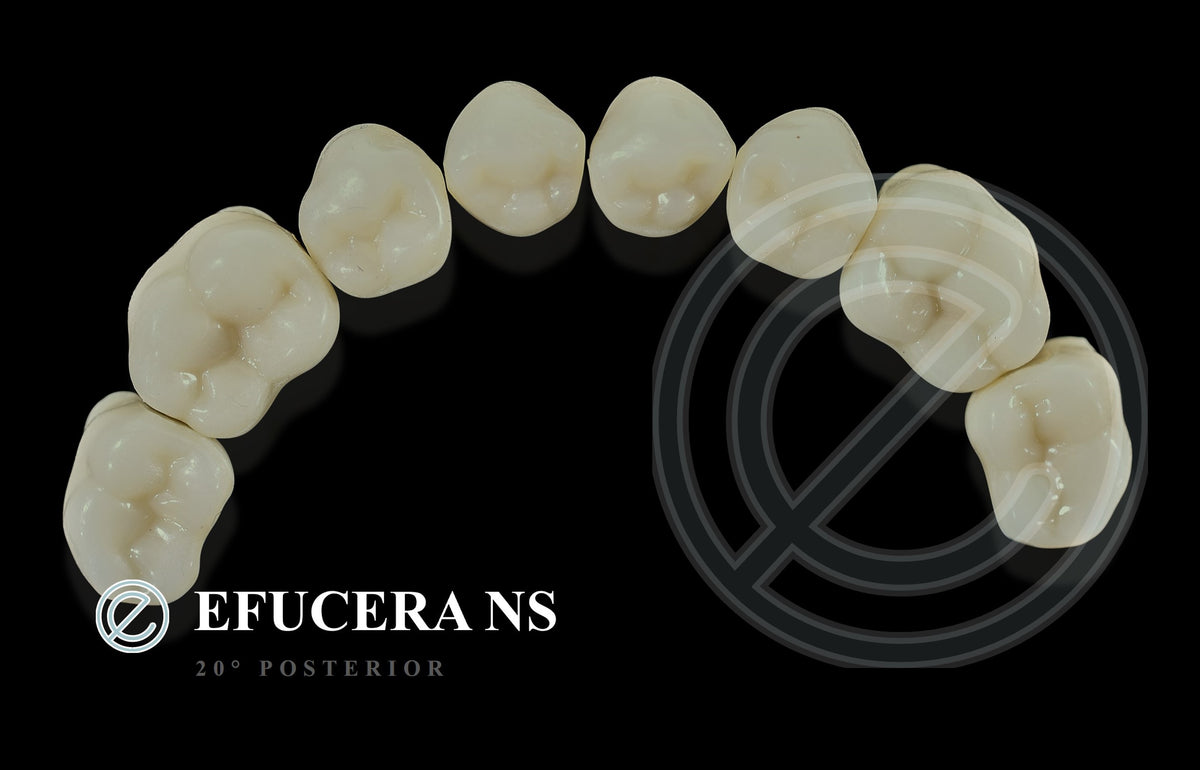 EFUCERA NS POSTERIOR TEETH SHADE B2