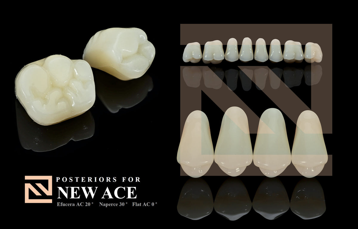 EFUCERA ACRYLIC POSTERIOR TEETH SHADE B2