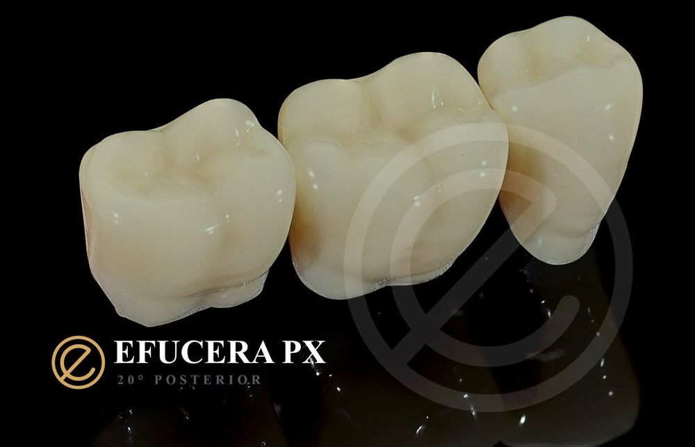EFUCERA PX POSTERIOR TEETH SHADE W0.5 - Yamahachi Dental Products USA