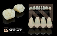 Load image into Gallery viewer, NAPERCE ACRYLIC POSTERIOR TEETH SHADE A4 - Yamahachi Dental Products USA
