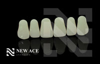 Load image into Gallery viewer, NEW ACE ACRYLIC TEETH SHADE D4 - Yamahachi Dental Products USA
